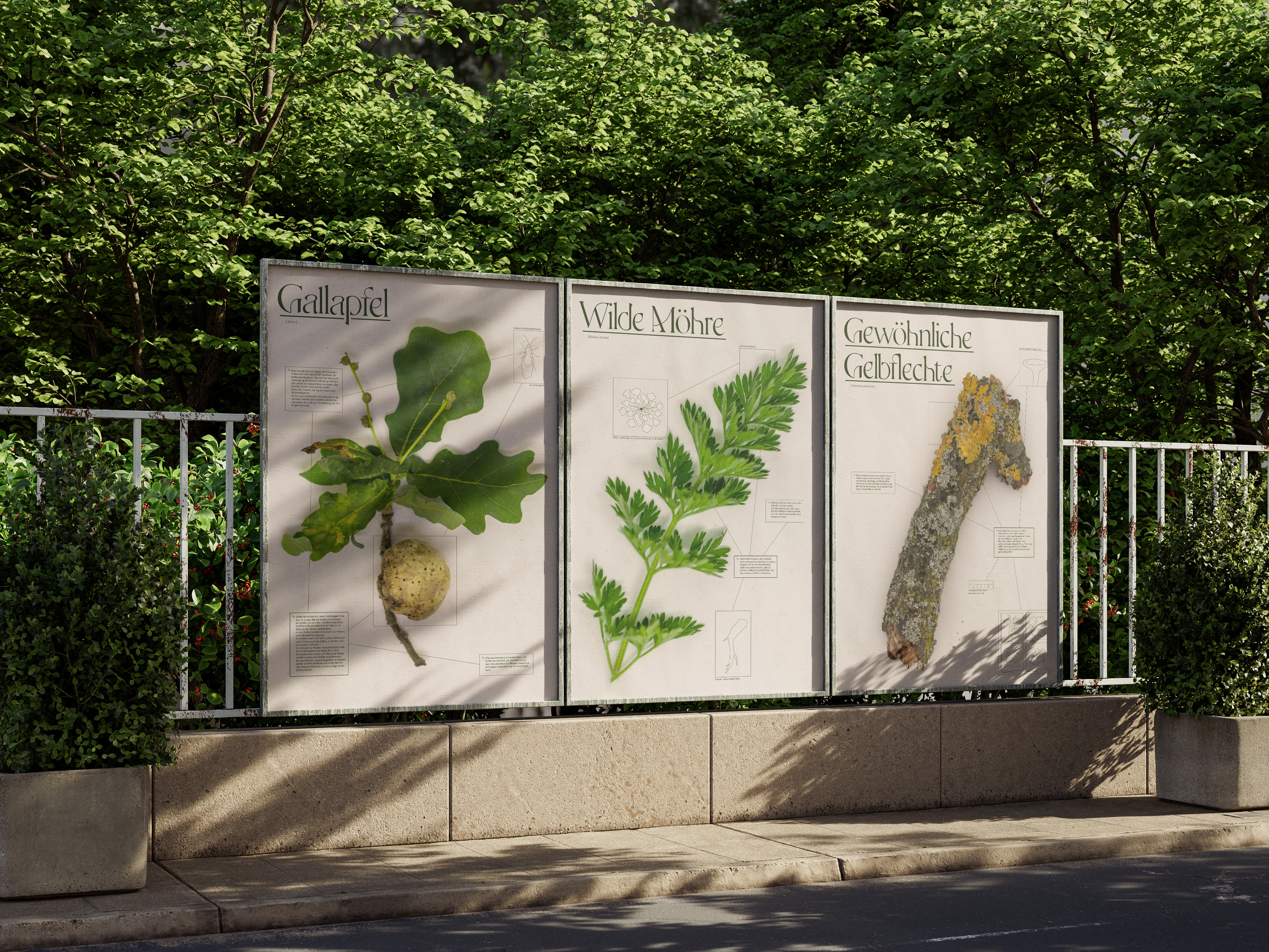 Bild Paths through overlooked worlds